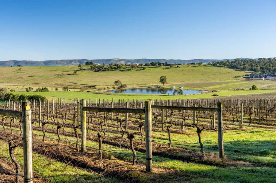 Melbourne: Yarra Valley Wine, Cider, Gin, Beer, & Choc Tour - Meeting at Spring Street and setting off
