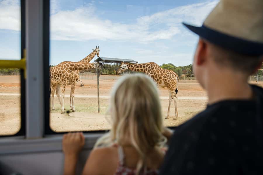 Monarto Safari Park: General Admission Tickets - Start with the Zu-loop bus