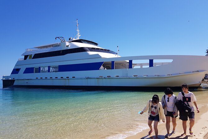 Moreton Island Day Trip (Kayak, Snorkel & Sandboard) frm Brisbane or Gold Coast - What the AU$128.39 price really covers
