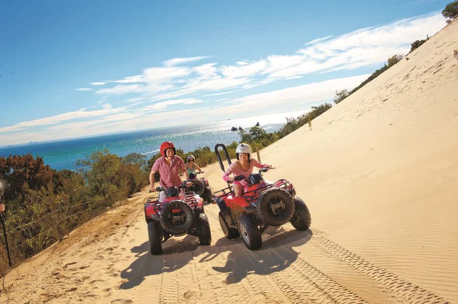 Moreton Island: Tangalooma ATV Quad Bike & Dolphin Feeding - Who will enjoy this Moreton Island day