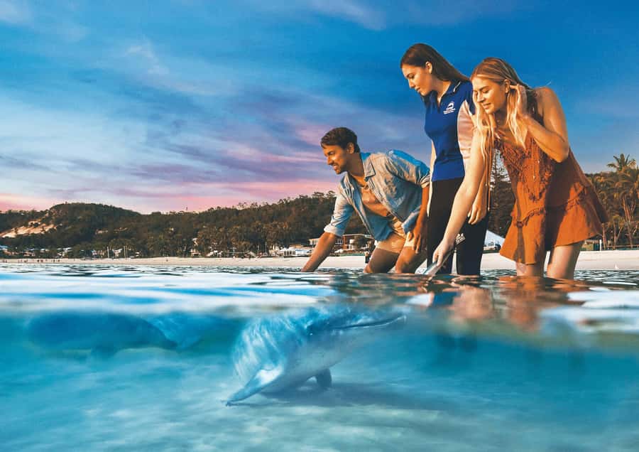 Moreton Island: Tangalooma ATV Quad Bike & Dolphin Feeding - The 45-minute ATV ride mixes sand, bush, and speed
