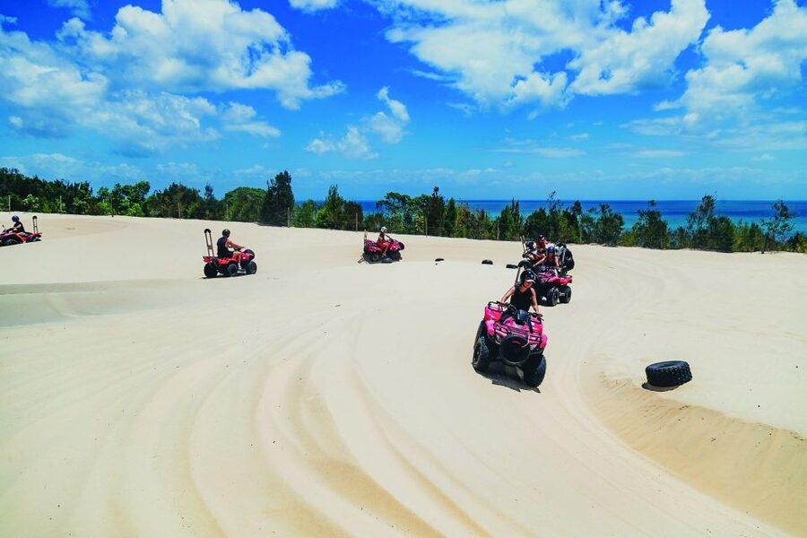 Moreton Island: Tangalooma ATV Quad Bike & Dolphin Feeding - What the $172 price really covers