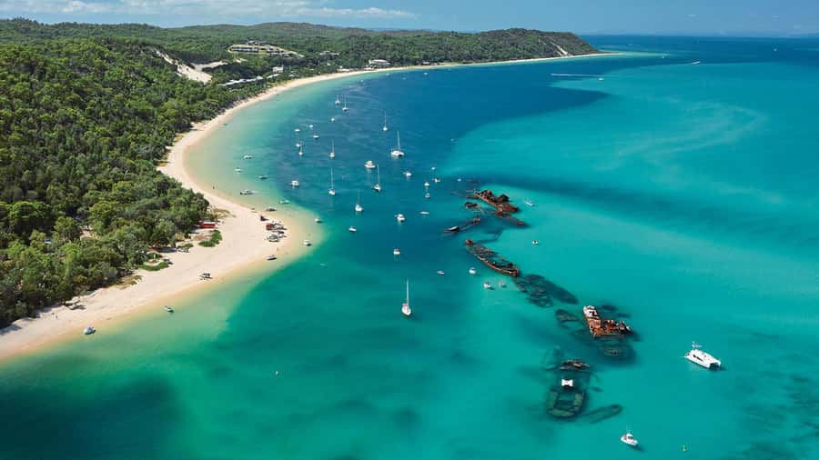 Moreton Island: Tangalooma Day Trip with ATV Quad Bike Tour - Wildlife programs and the 3:15pm dolphin presentation