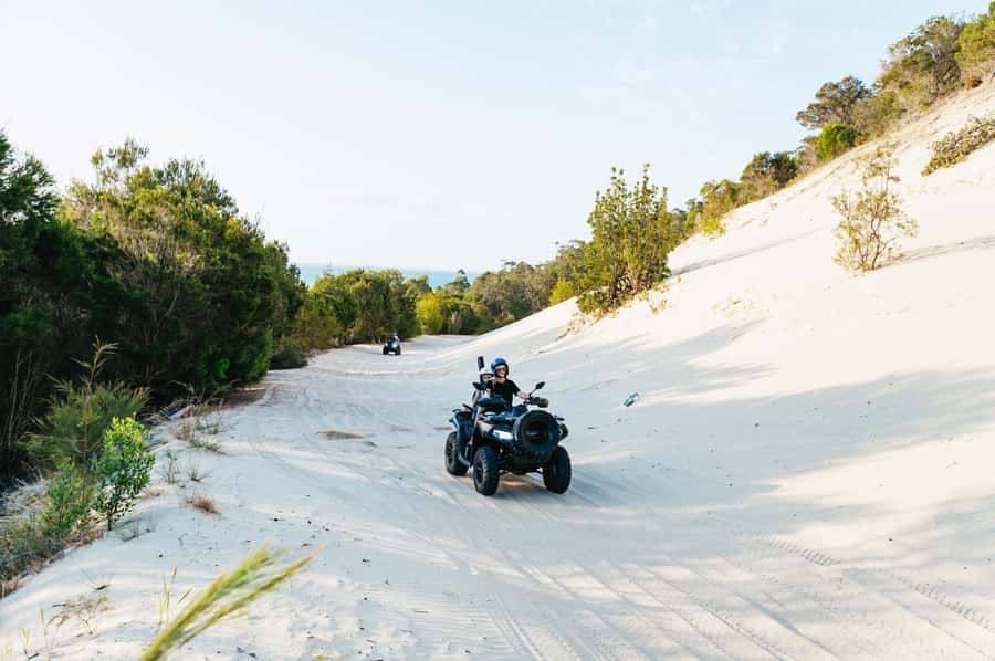 Moreton Island: Tangalooma Day Trip with ATV Quad Bike Tour - Who should book this day trip?