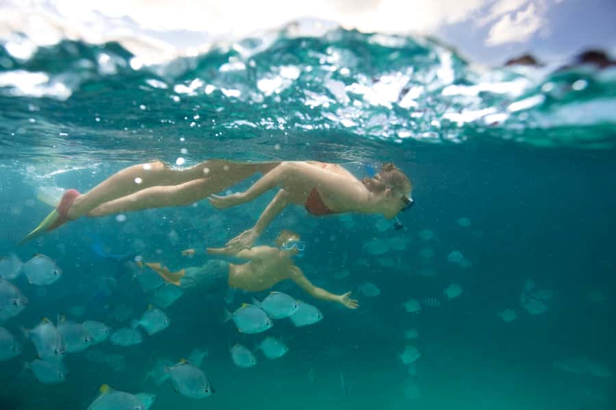 Moreton Island: Tangalooma Day Trip with Snorkeling Tour - Key points to know before you book