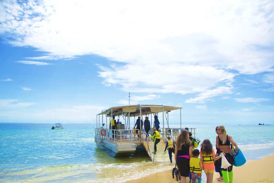 Moreton Island: Tangalooma Day Trip with Snorkeling Tour - The guided snorkel: calm support, short water time