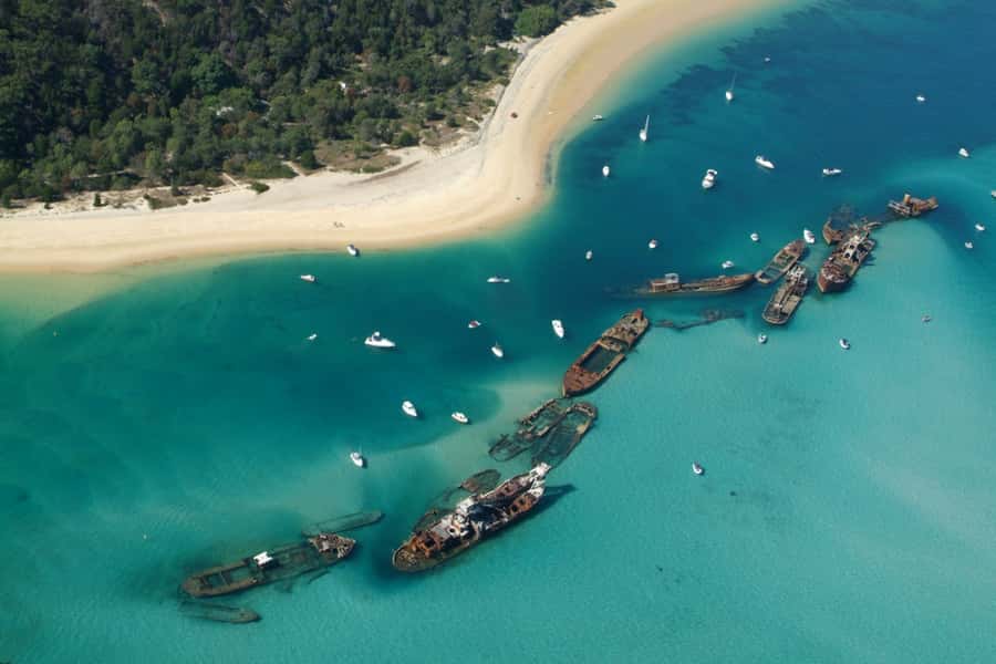 Moreton Island: Tangalooma Day Trip with Snorkeling Tour - Lunch is useful, but plan around the clock