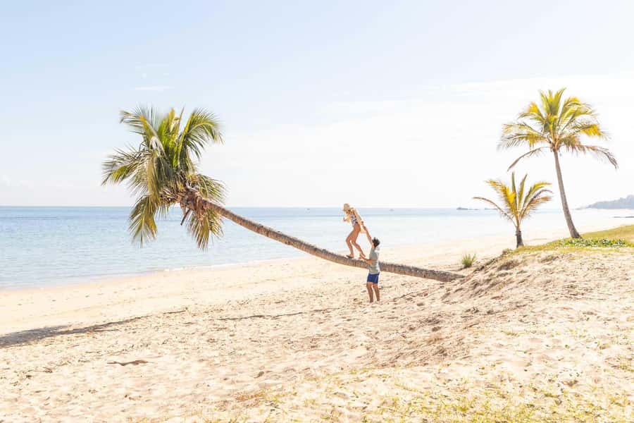 Moreton Island: Tangalooma Day Trip with Snorkeling Tour - The 3:15pm dolphin presentation