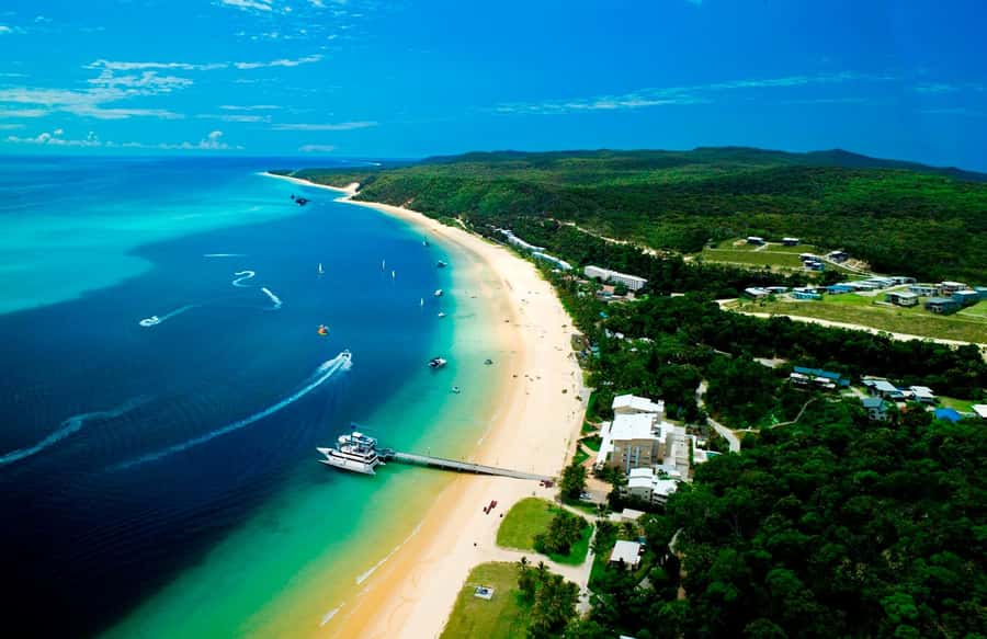 Moreton Island: Tangalooma Day Trip with Snorkeling Tour - Who should book this Moreton Island trip?