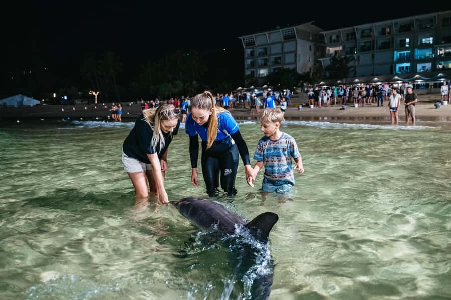 Moreton Island: Tangalooma Desert Safari and Dolphin Feeding - Lunch that gives you control