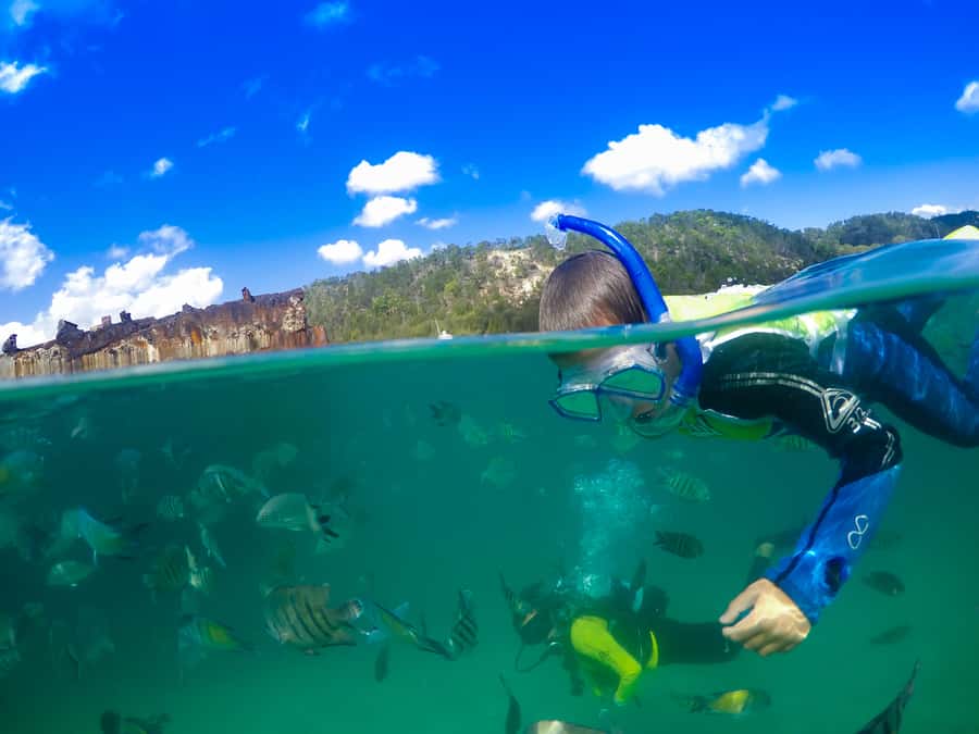 Moreton Island: Tangalooma Snorkeling Tour & Dolphin Feeding - Who will enjoy this Moreton Island day?
