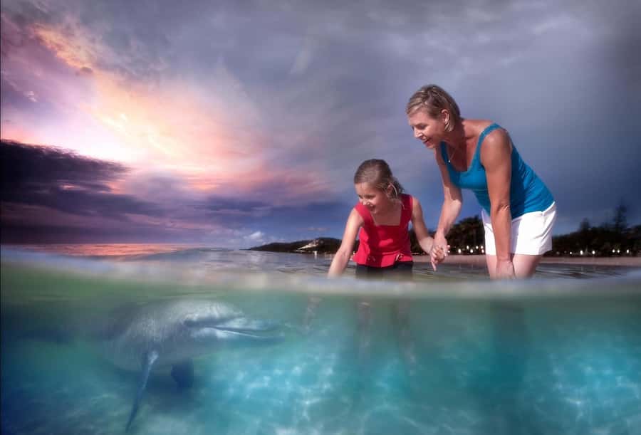 Moreton Island: Tangalooma Snorkeling Tour & Dolphin Feeding - Should you book it?