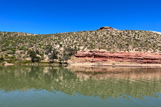 Morning Cruise on the Murchison River in Kalbarri (April to Nov) - A quiet way to see Kalbarri from the water
