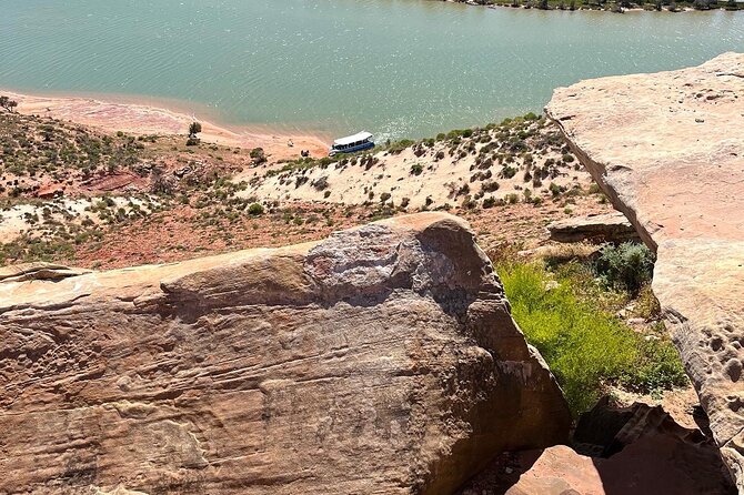 Morning Cruise on the Murchison River in Kalbarri (April to Nov) - Birds, kangaroos, and the patience of wildlife watching