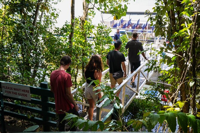Morning Daintree Tour with River Cruise from Port Douglas - Why this half-day tour works from Port Douglas
