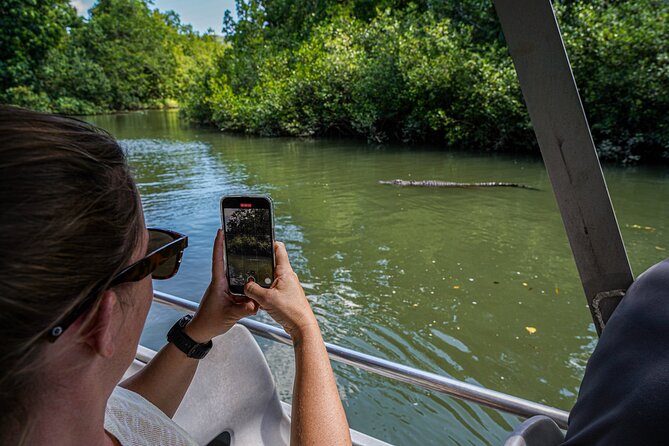 Morning Daintree Tour with River Cruise from Port Douglas - The optional swim in the rainforest stream