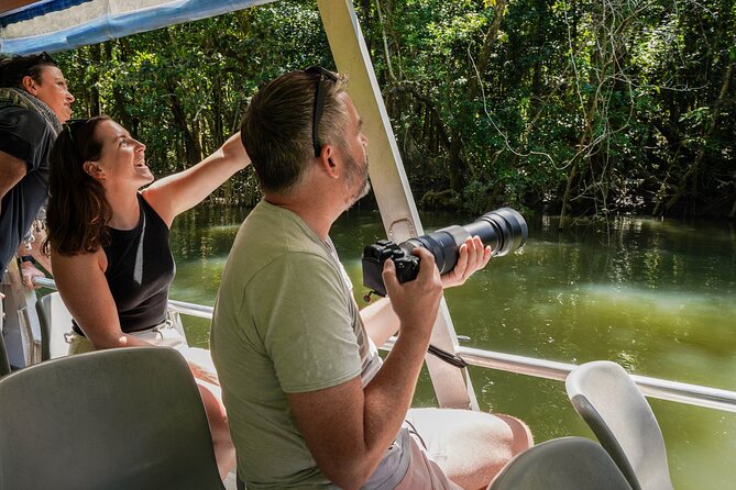 Morning Daintree Tour with River Cruise from Port Douglas - Weather, floods, and the limits of nature tourism