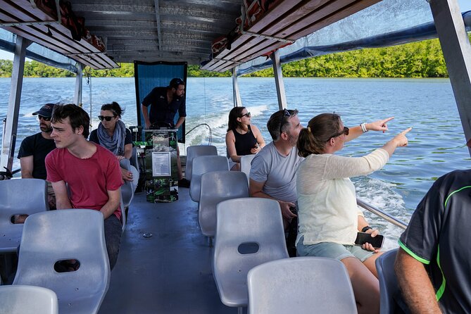 Morning Daintree Tour with River Cruise from Port Douglas - The Captain Cook Highway sets the scene