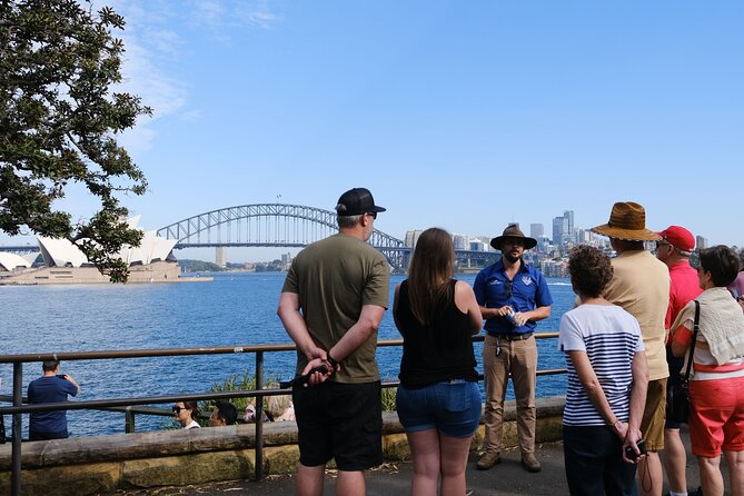 Morning or Afternoon Half-Day Sydney City Sightseeing Tour - A practical first look at Sydney in three and a half hours