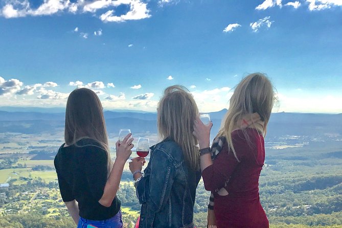 Mount Tamborine Wine Tasting Tour from Brisbane or the Gold Coast - Four tasting venues, with more than standard table wine