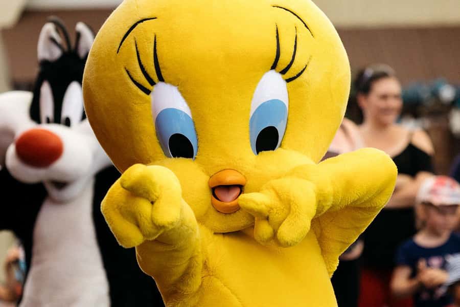 Movie World, Sea World, Wet’n’Wild & More - 5 Day Pass - Should you book the Gold Coast 5 Day Pass?