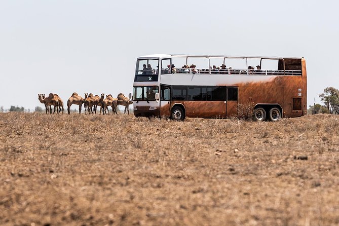Nogo Station Experience - Why Nogo Station is more than a farm visit