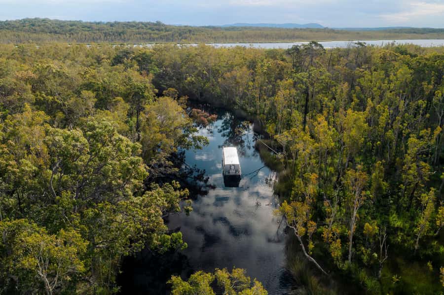 Noosa: Afternoon Cruise through the Noosa Everglades - Boarding the shallow-water eco vessel