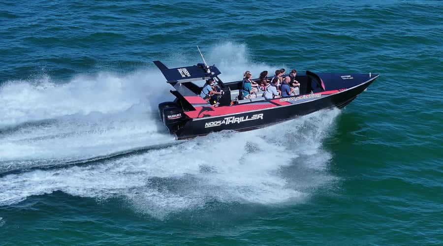 Noosa; Noosa Ocean Adventures - Whale Watching - Dolphins, turtles, manta rays, and seabirds