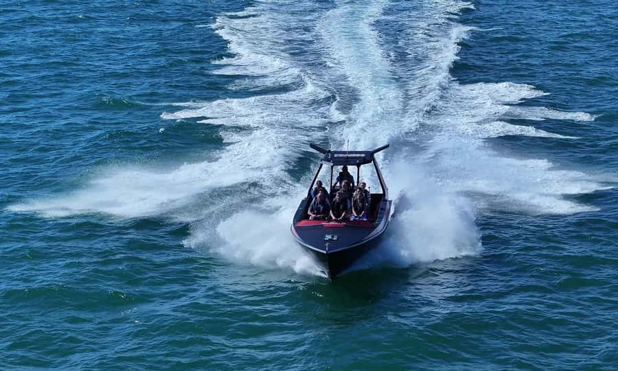 Noosa; Noosa Ocean Adventures - Whale Watching - Who will enjoy this boat trip most
