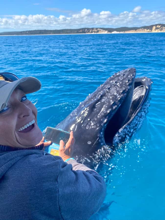 Noosa; Noosa Ocean Adventures - Whale Watching - From Noosaville to the open coast