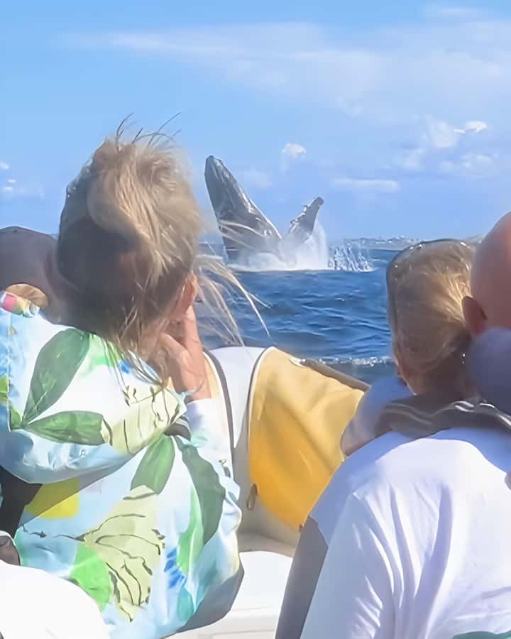 Noosa: Noosa Whale Watching Tour - Is the $70 price good value?