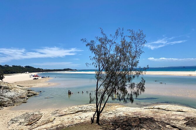 North Stradbroke Island WILDLIFE Adventure Tour from Brisbane - The 45-minute ferry crossing from Brisbane