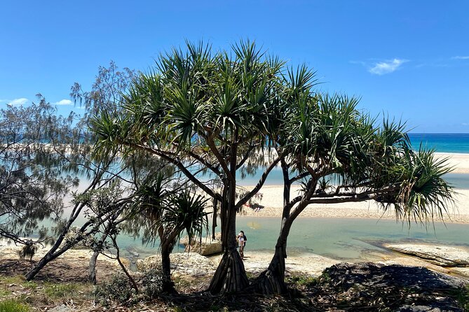 North Stradbroke Island WILDLIFE Adventure Tour from Brisbane - Cylinder Beach and the first coastal views