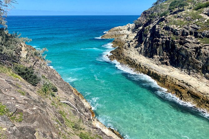 North Stradbroke Island WILDLIFE Adventure Tour from Brisbane - Amity Point and the search for koalas
