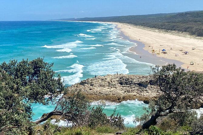 North Stradbroke Island WILDLIFE Adventure Tour from Brisbane - Guides, group size, and the feel of the day