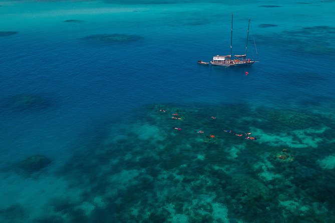 Ocean Free 25 guest Great Barrier Reef & visit Green Island Tour - Morning tea and a calm start from Cairns