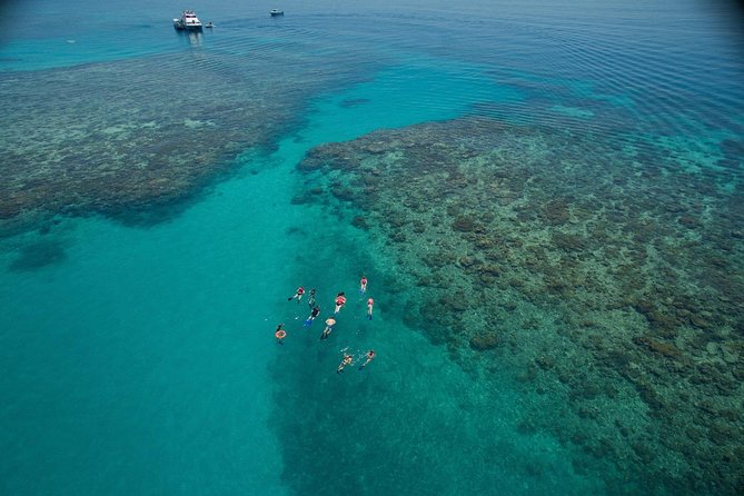 Ocean Freedom Great Barrier Reef Luxury Snorkel and Dive Cruise - Key points at a glance