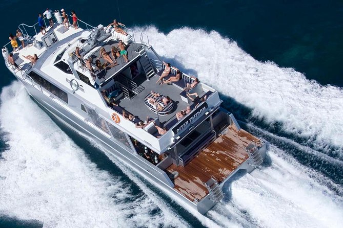 Ocean Freedom Great Barrier Reef Luxury Snorkel and Dive Cruise - A full day from Cairns to Upolu Reef