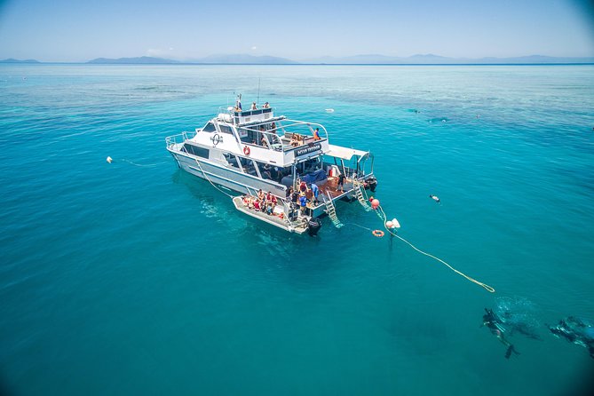 Ocean Freedom Great Barrier Reef Luxury Snorkel and Dive Cruise - Upolu Cay and its shallow coral garden