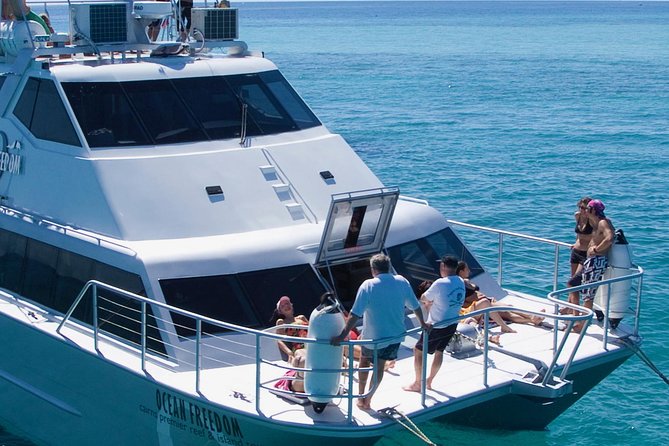 Ocean Freedom Great Barrier Reef Luxury Snorkel and Dive Cruise - Guided snorkeling for beginners and confident swimmers