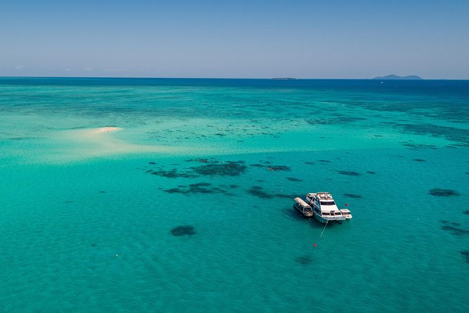Ocean Freedom Great Barrier Reef Luxury Snorkel and Dive Cruise - Scuba options and the extra cost