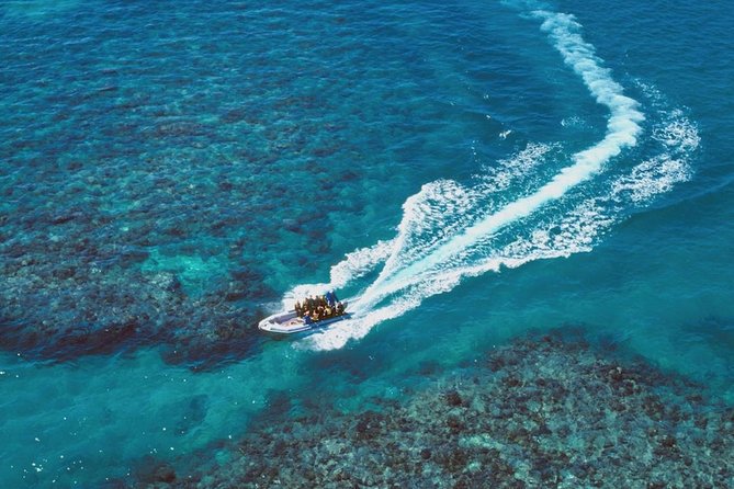 Ocean Freedom Great Barrier Reef Luxury Snorkel and Dive Cruise - Who will enjoy Ocean Freedom most