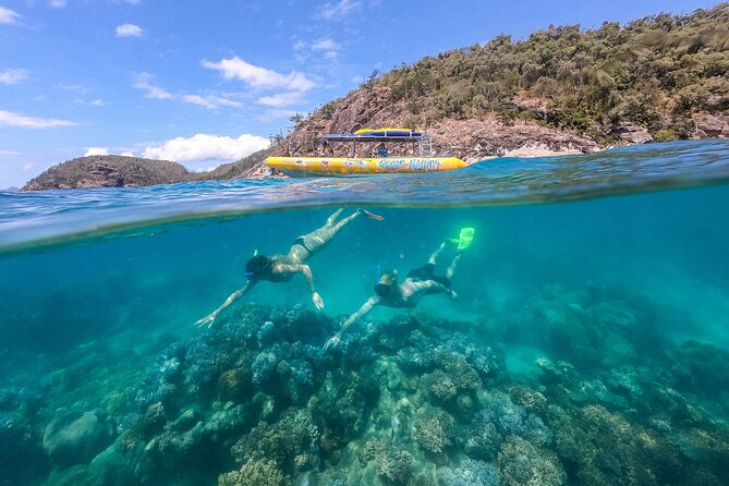 Ocean Rafting: Whitehaven Beach, Snorkelling & Hill Inlet Lookout - Choosing Northern Exposure or Southern Lights