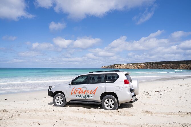 One Day Port Lincoln Tour - Tasting Eyre - Mikkira Station offers a closer look at wild koalas