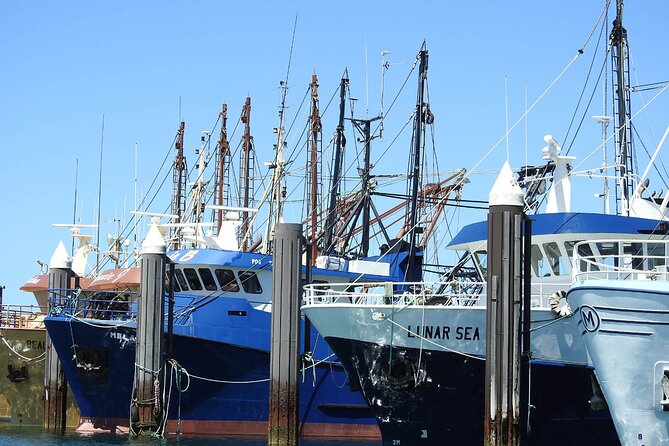 One Day Port Lincoln Tour - Tasting Eyre - The guides can shape the feel of your day