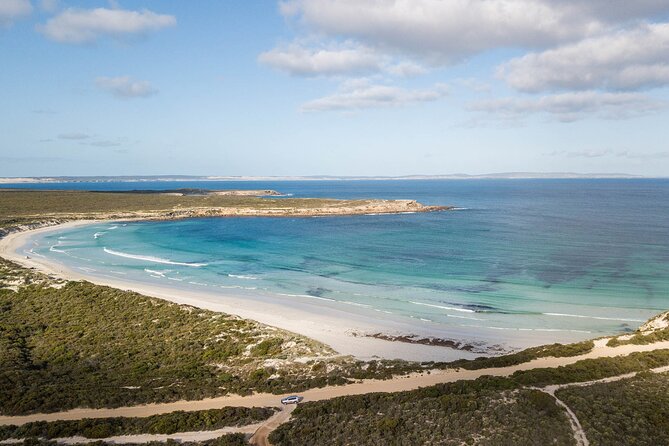 One Day Port Lincoln Tour - Tasting Eyre - Who will enjoy this experience most