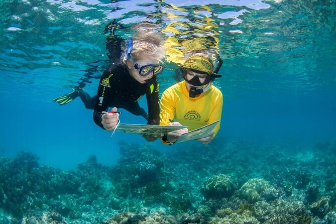 Passions of Paradise Great Barrier Reef Cruise by Catamaran - Snorkeling support for first-timers