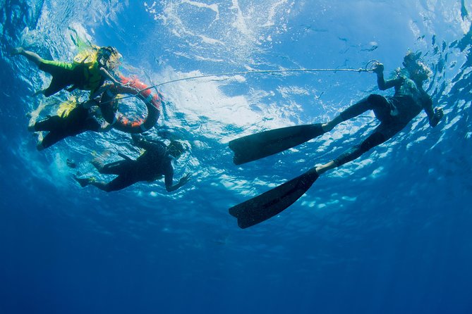 Passions of Paradise Great Barrier Reef Cruise by Catamaran - Introductory scuba and certified options
