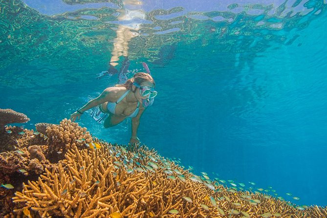 Passions of Paradise Great Barrier Reef Cruise by Catamaran - Food, tea, and the rhythm of the day
