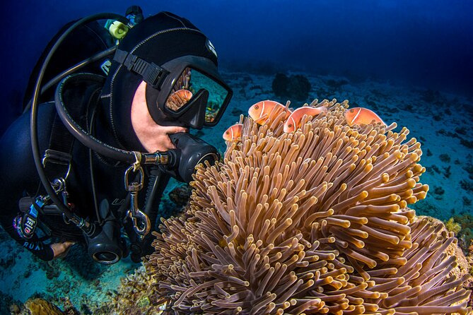Passions of Paradise Great Barrier Reef Cruise by Catamaran - Price, timing, and what you really get